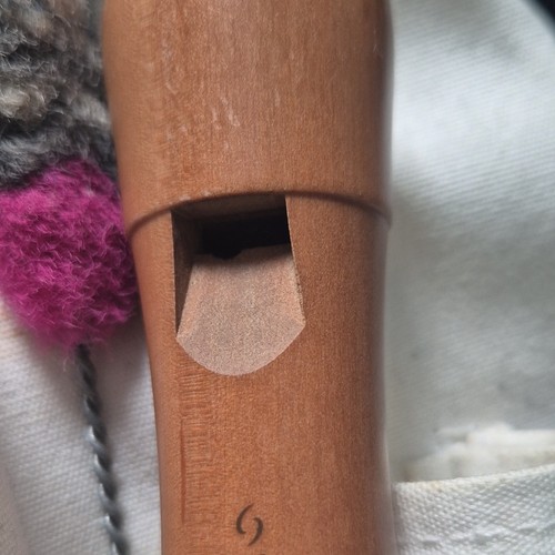Holz blockflöte instrument - holz-blockflöte,